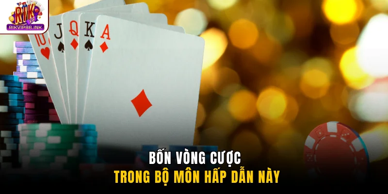 Bốn vòng cược trong bộ môn hấp dẫn này